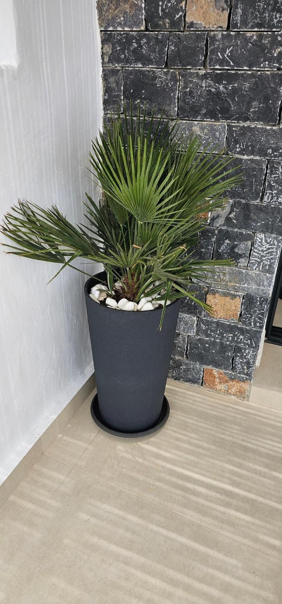 Dg Luxury Apartments Makrýgialos Zewnętrze zdjęcie